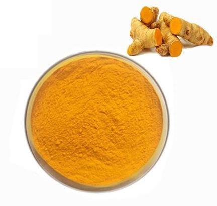 Turmeric root extract powder