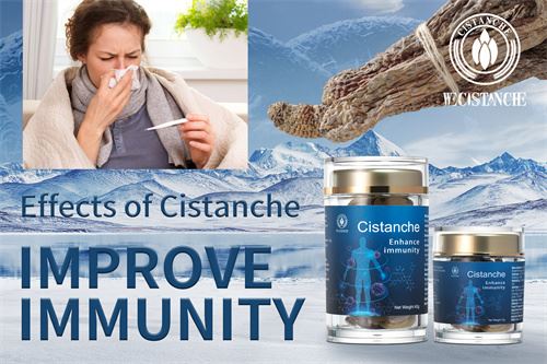 cistanche tubulosa benefits: improve immunity