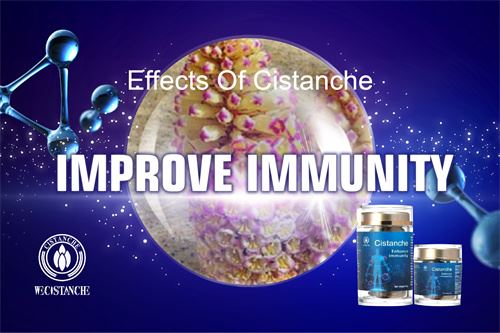 improve immunity cistanche tubulosa supplements