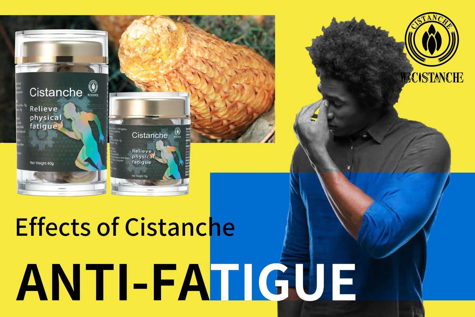 Modern pharmacology proves that Cistanche can relieve physical fatigue