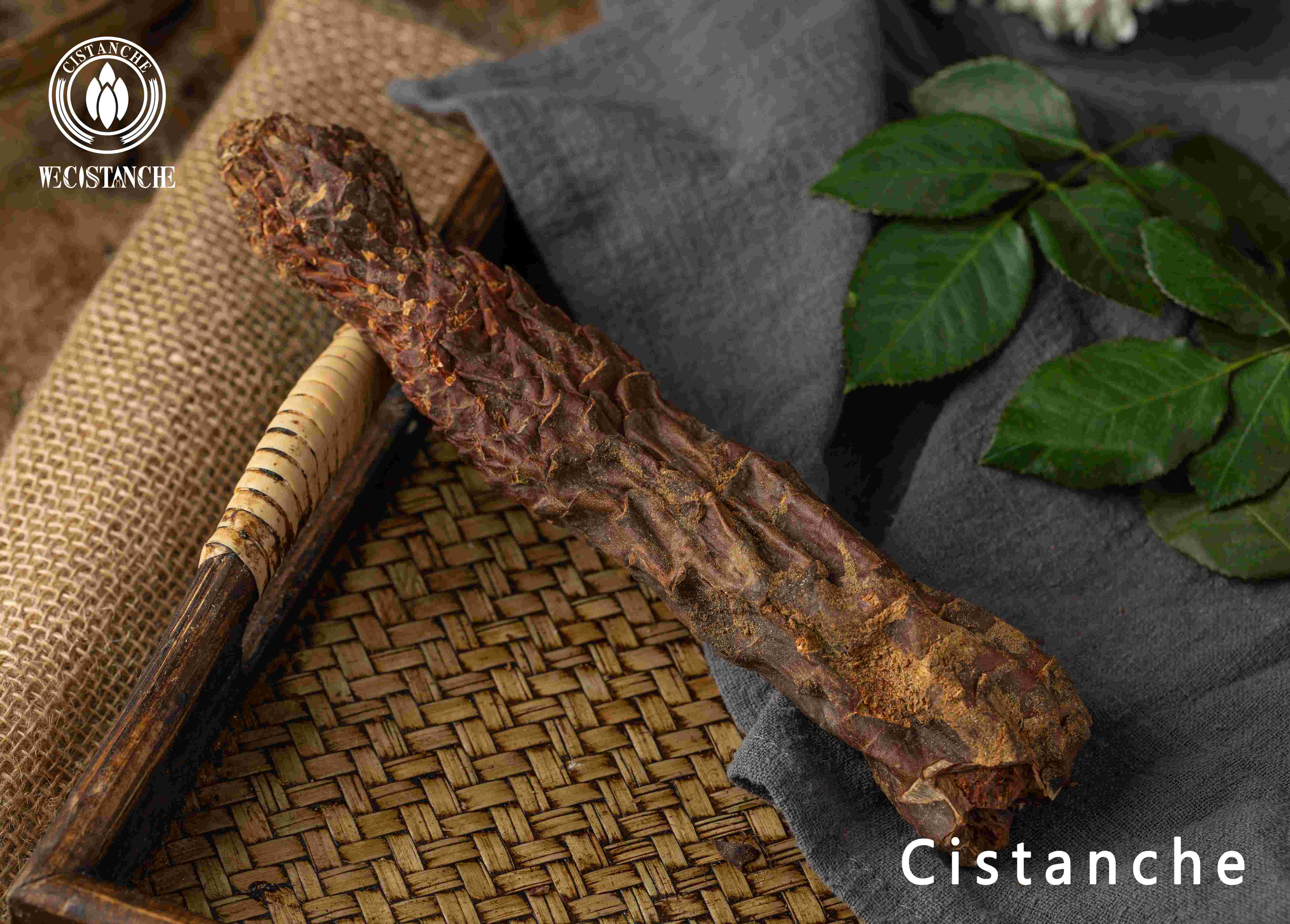 Daily consumption of Cistanche can enhance immunity Daily consumption of Cistanche can enhance immunity