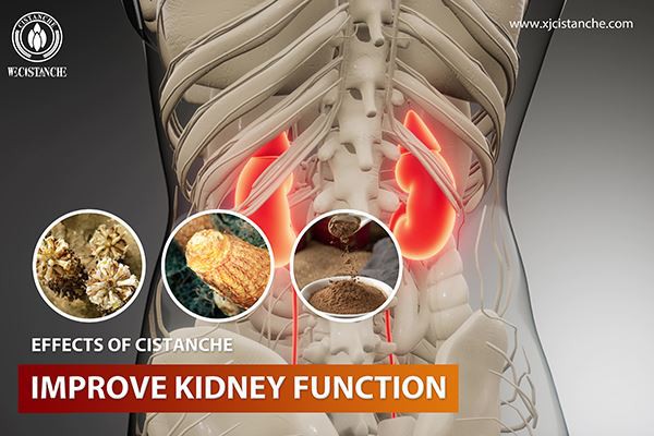 Improving kidney Function