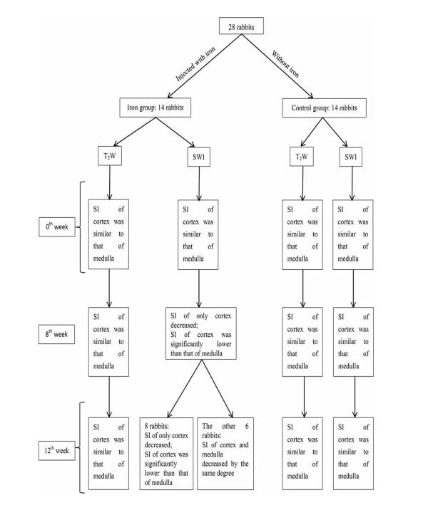 kidneyand renal kidneyand renal