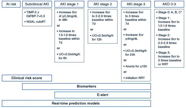 Diferent phases of AKI development and progression and associated diagnostic tests