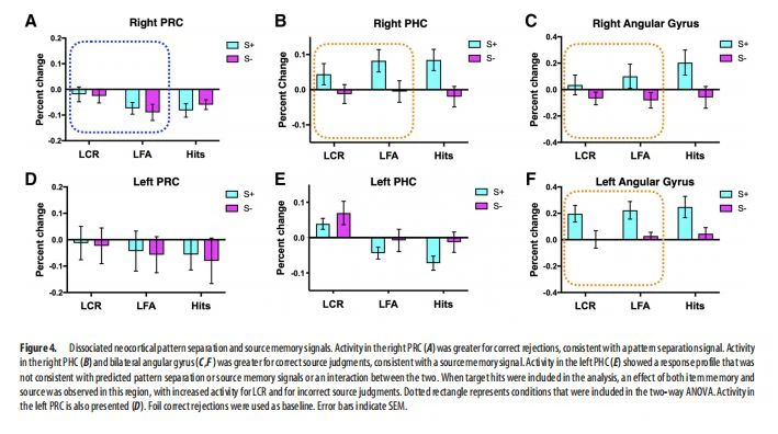 . Dissociated neocortical patternseparation andsourcememorysignals