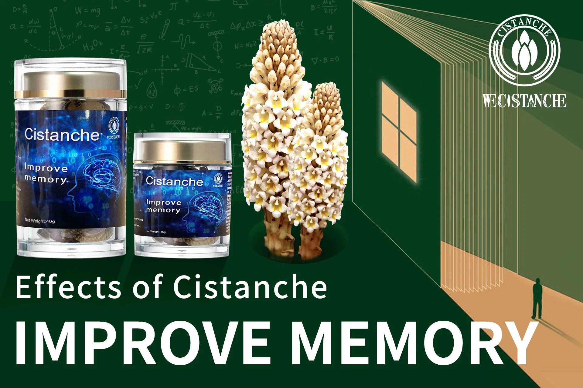Supplement for improving memory ,Cistanche