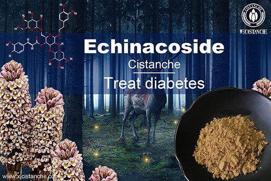 Echinacoside in Cistanche tubulosa