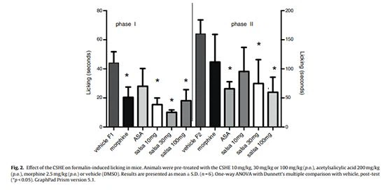 figure 2 Cistanche Herba