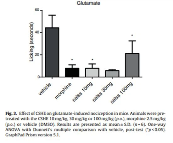 figure 3 Cistanche Herba