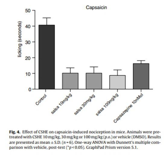 figure 4 Cistanche Herba