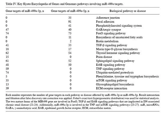 table 4 Cistanche can treat renal disease table 4 Cistanche can treat renal disease