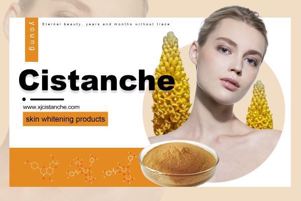 Cistanche benefits skin