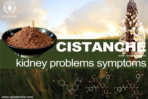 Cisplatin can relieve kidney problems symptoms