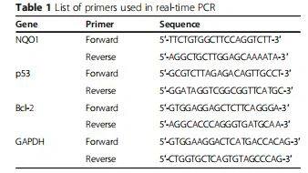 Table 1 List of primers used in real-time PCR
