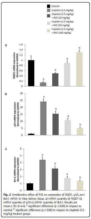 Fig. 2 Ameliorative effect of RVE on expression of NQO1, p53, and Bcl-2 mRNA in mice kidney tissue. a) mRNA quantity of NQO1 b) mRNA quantity of p53 c) mRNA quantity of Bcl-2. Results are mean ± SD (n = 6). a significant difference (p < 0.05) in respect to control. b significant difference (p < 0.05) in respect to cisplatin (2.5 mg/kg) treated group