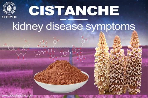 cistanche benefits