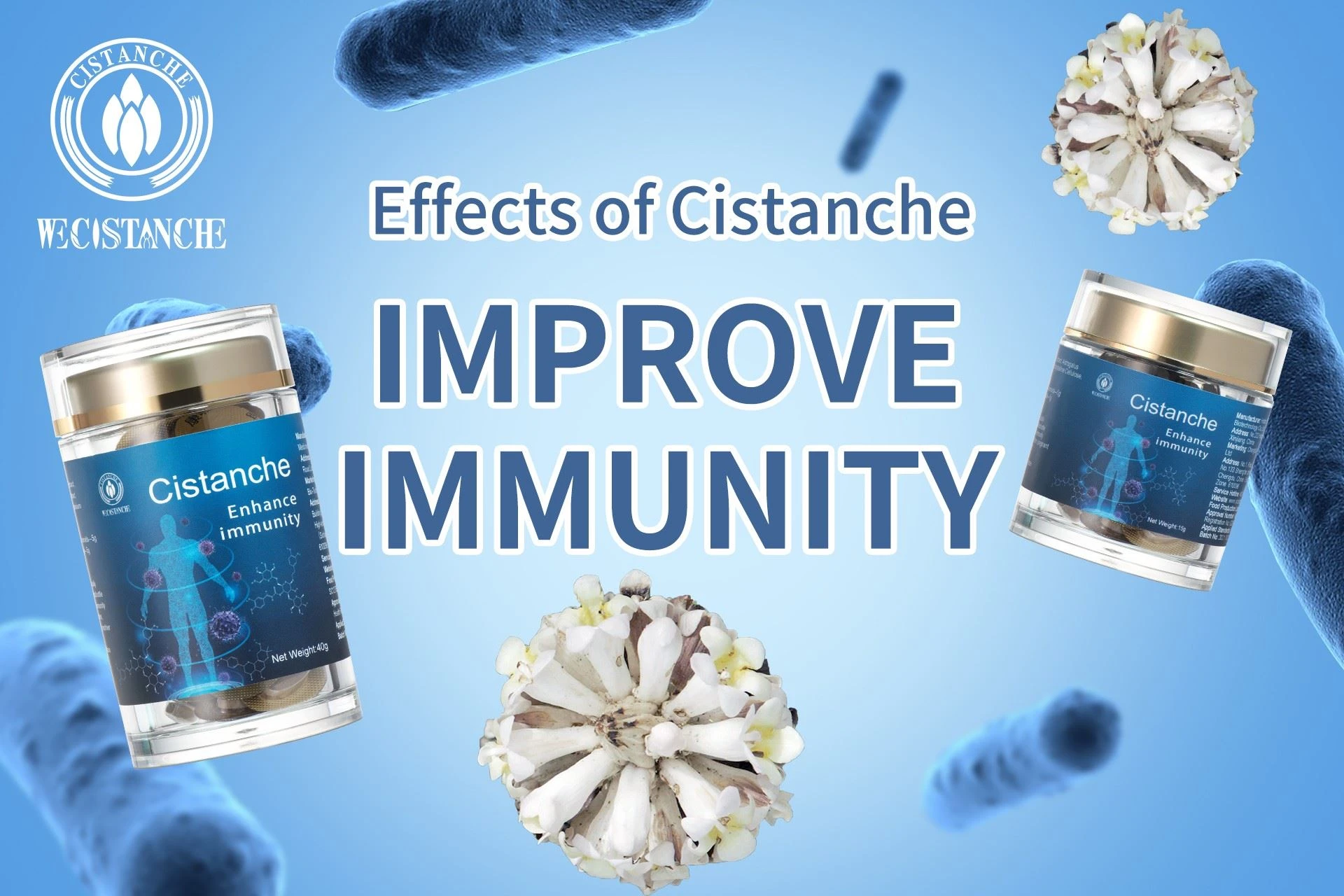 cistanche supplement:  improve immunity