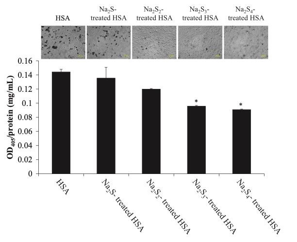 Fig. 3. Effect of Na2Sn-treated HSA on melanin synthesis in B16 melanoma cells.