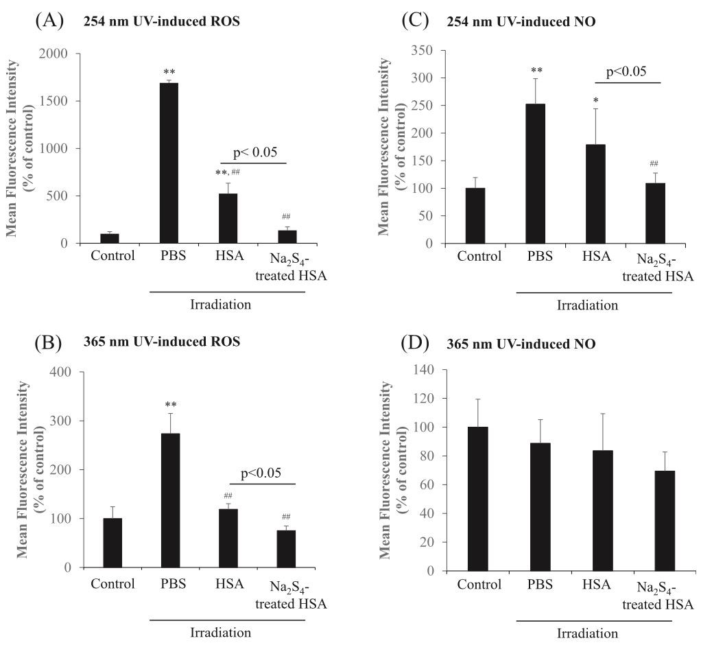 Fig. 4. ROS and NO scavenging effects of Na2S4-treated HSA under UV irradiation.