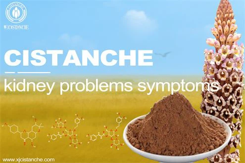 renal disease: Hybrid oncocytic/chromophobe tumor
