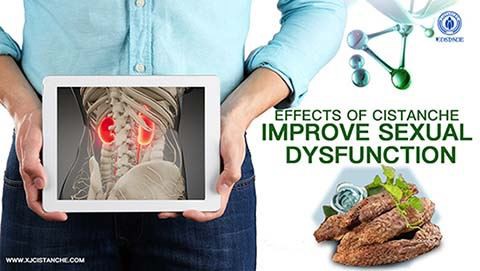 Improve Kidney disease--Cistanche acteoside