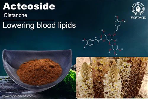 cistanche tubolosa benefits