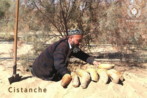 file_5616x3744_000334.JPG-1