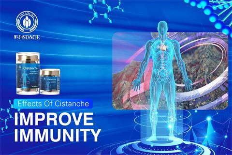 effects of cistanche improve immunity (32)