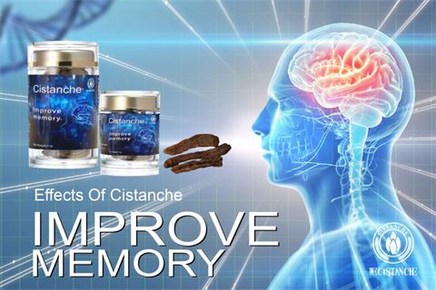 effects of cistanche improve memory (51)