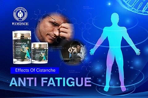 Cistanche antifatigue function