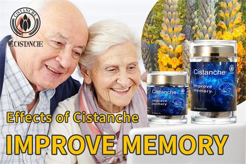 effects of cistanche