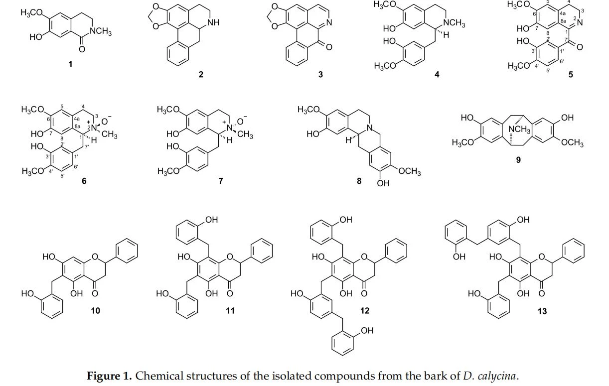 Chemical structures of the isolated compounds from the bark of D. calycina.