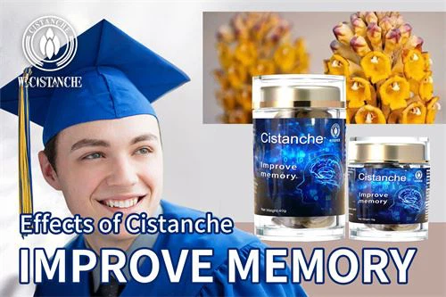 CISTANCHE SUPPLEMENT