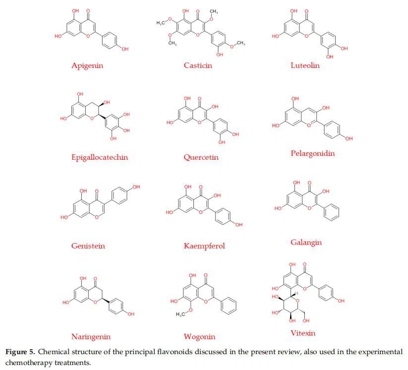 Chemical structure of the principal flavonoids discussed in the present review, also used in the experimental chemotherapy treatments