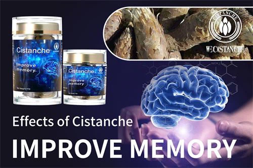 improve memory cistanche supplement