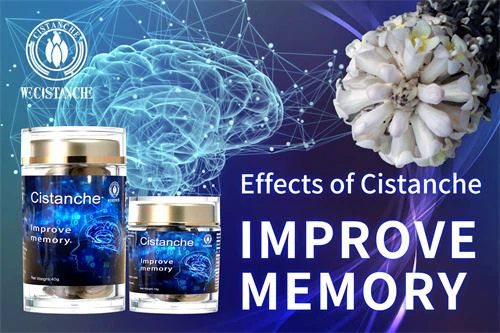 improve memory cistanche supplement