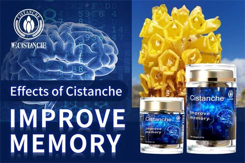 improve memory cistanche supplement