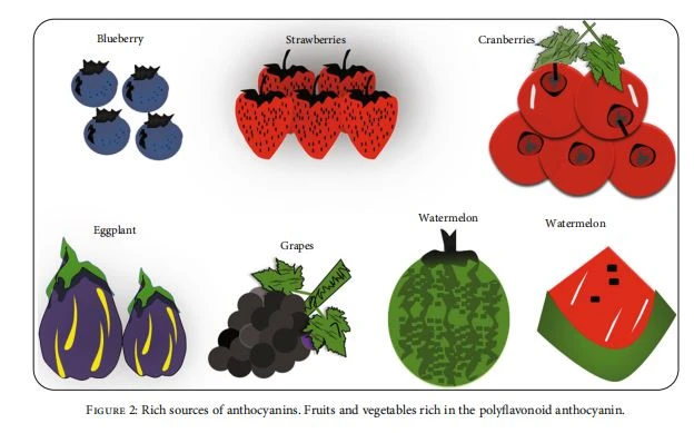 Rich sources of anthocyanins. Fruits and vegetables rich in the polyflavonoid anthocyanin.