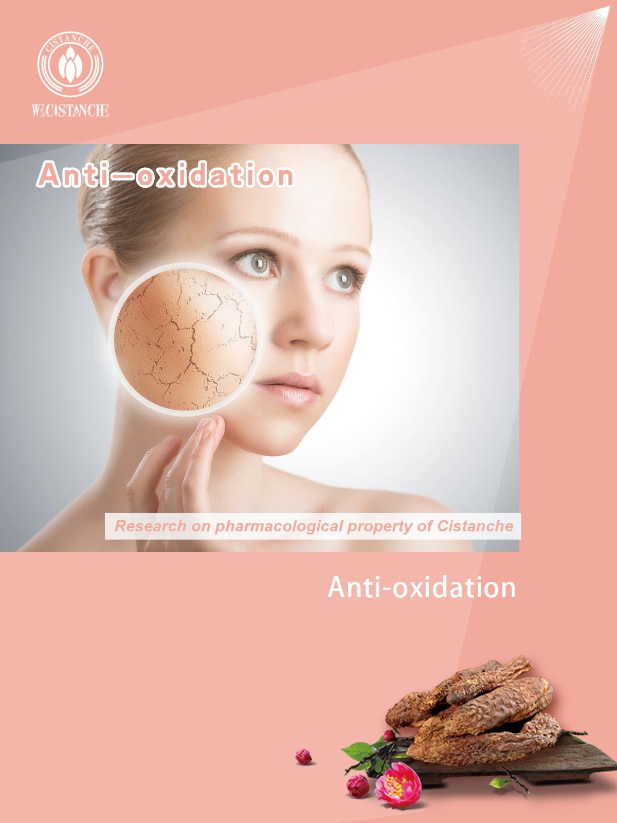 effect on anti-oxidant effect on anti-oxidant
