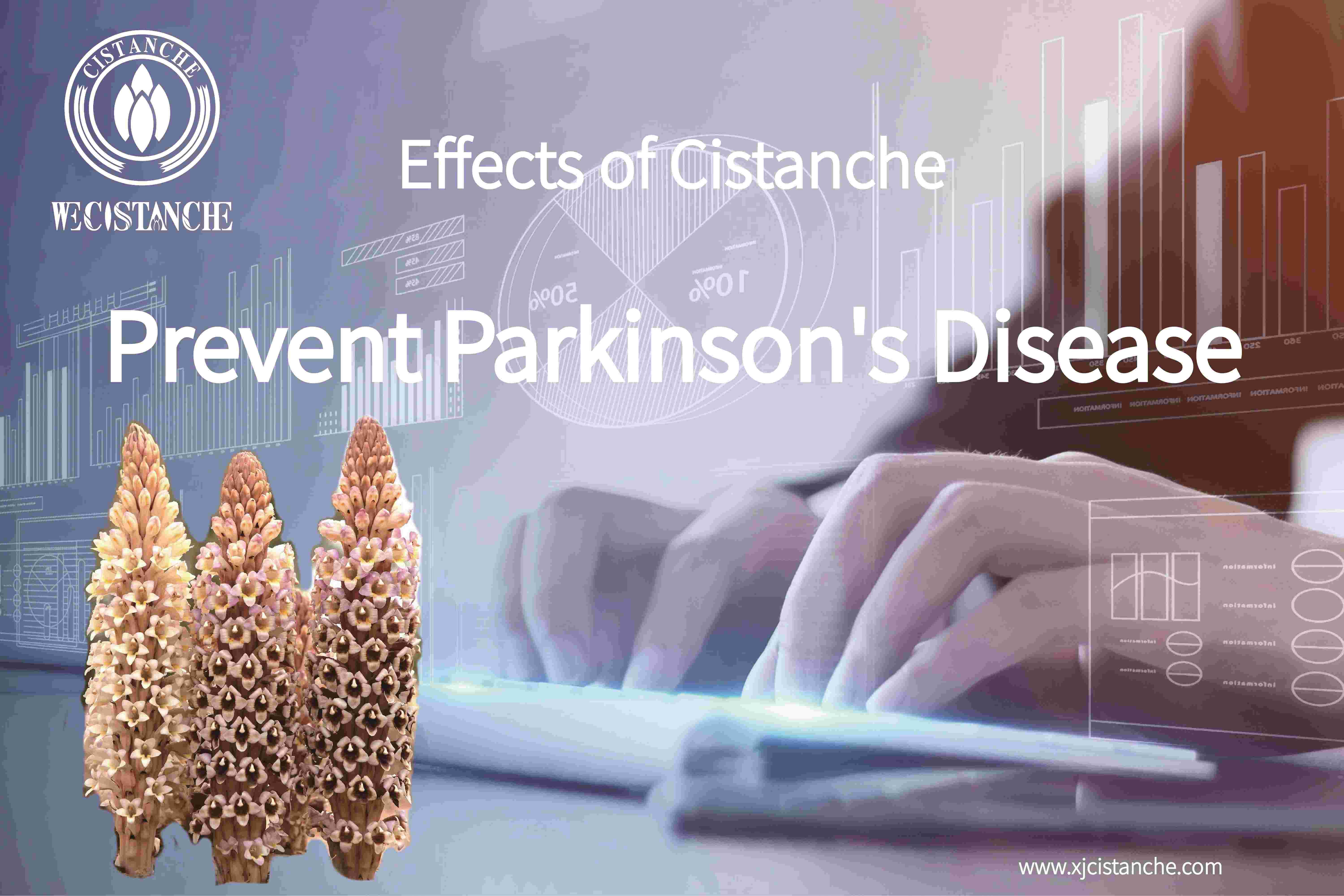best herb herb for parkinson's disease