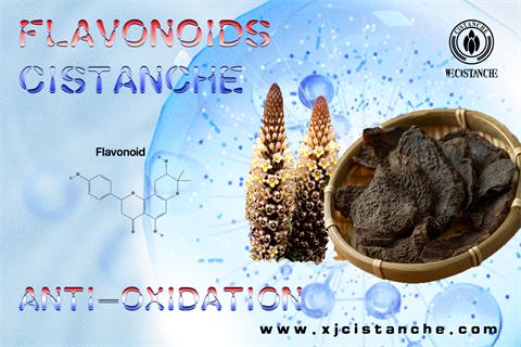 micronized purified flavonoid fraction 1000 mg uses