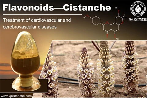 bioflavonoids cardiovascular cerebrovasular
