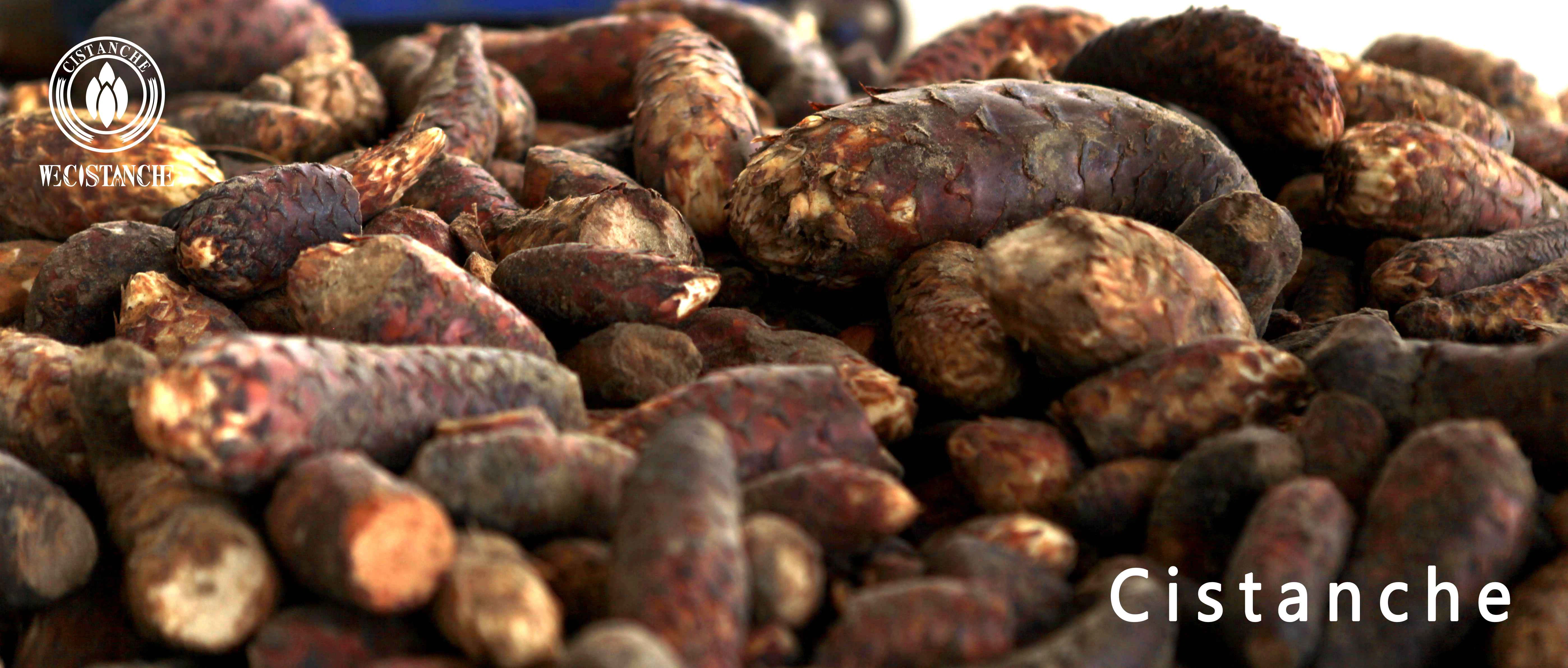 rou cong rong benefits rou cong rong benefits