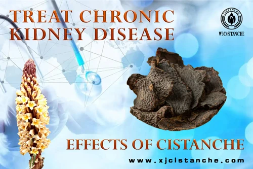 kidney problem treatment