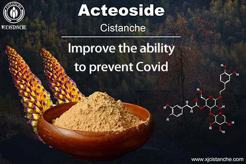Cistanche prevent covid