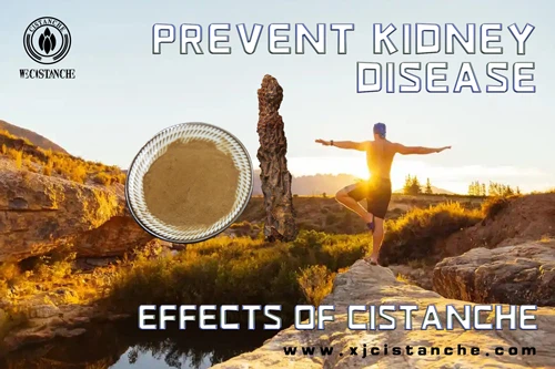 natural herb for kidney