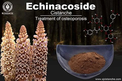 cistanche coffee benefits