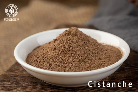 cistanche powder