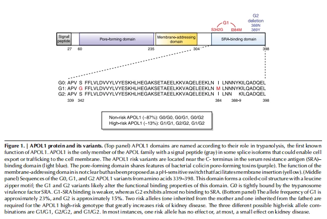 Figure 1 Figure 1