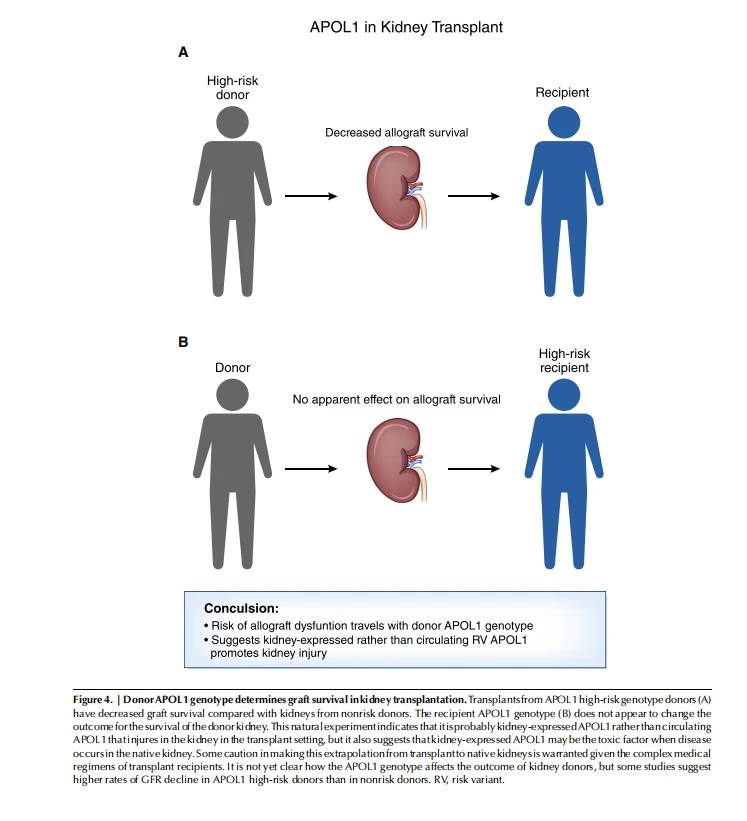 Figure 4 Figure 4